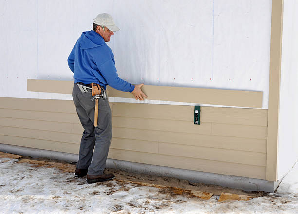 Best Insulated Siding Installation  in Adelino, NM